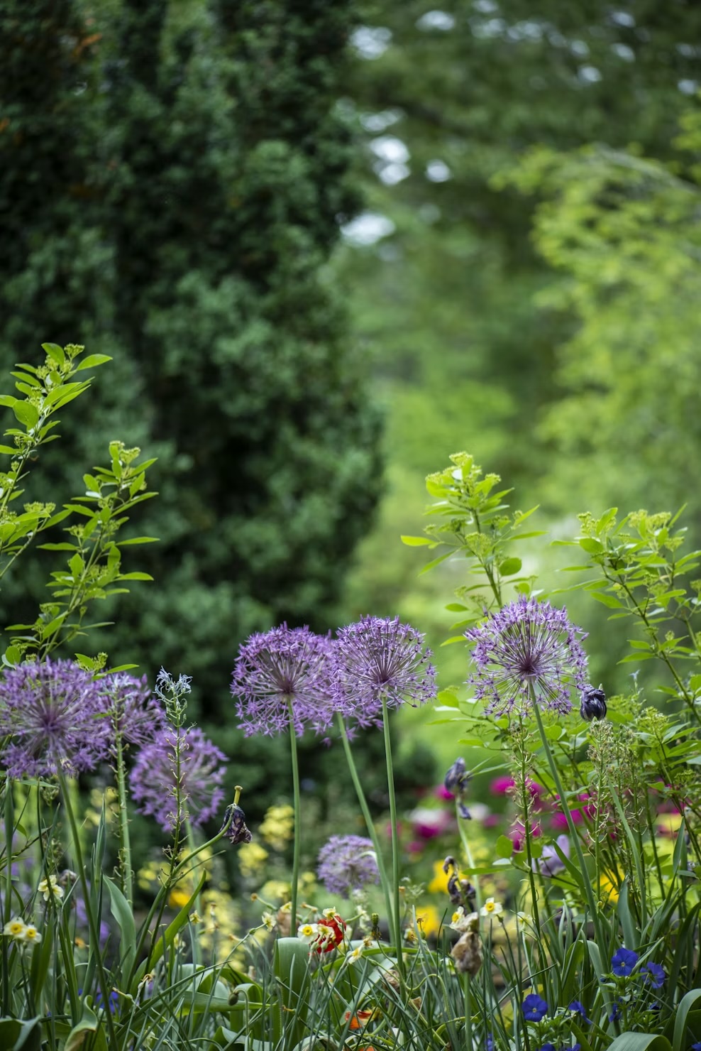 Landscape design-build garden